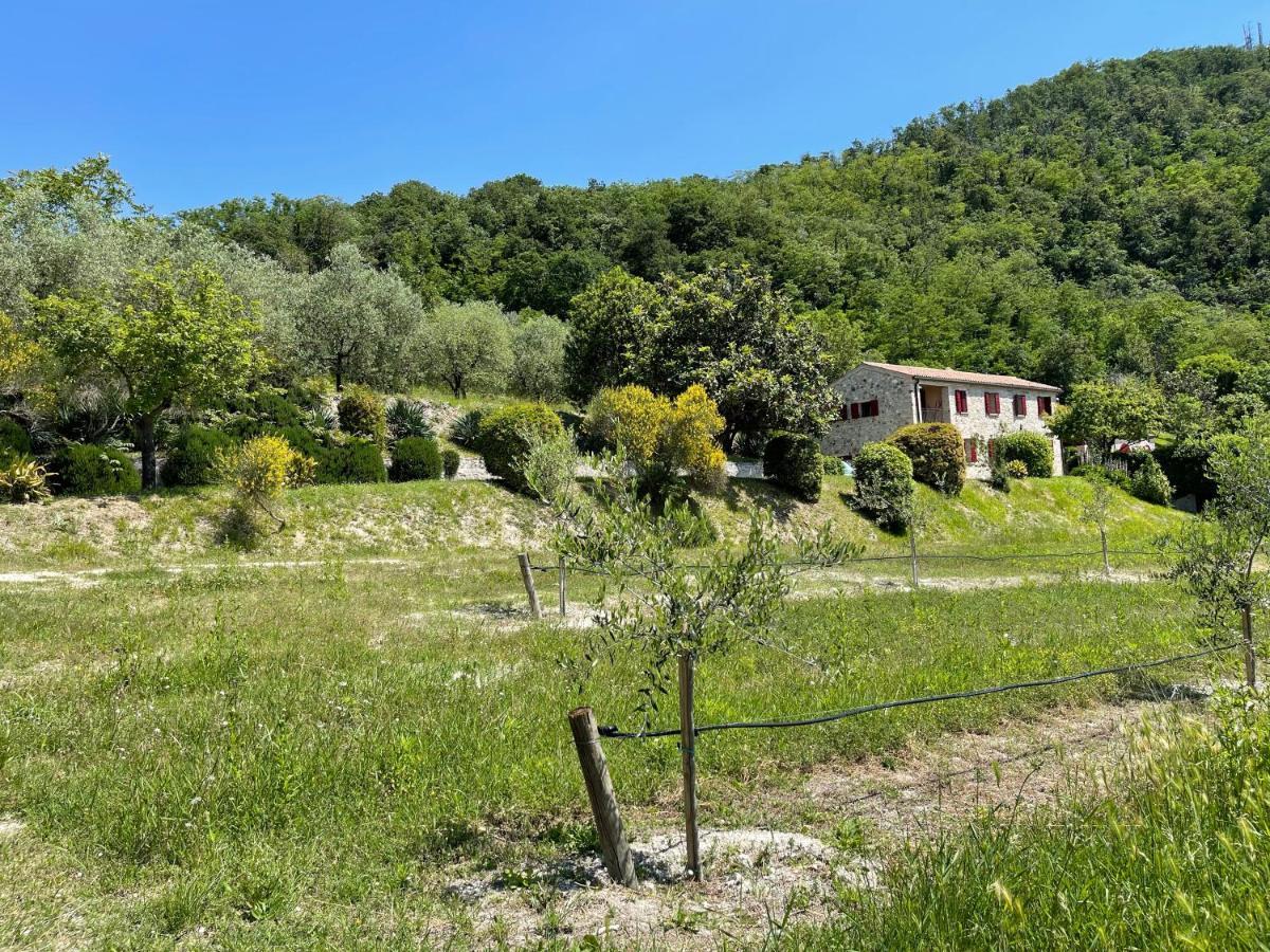 Villa Degli Ulivi By Holiday World Arquà Petrarca Exterior foto