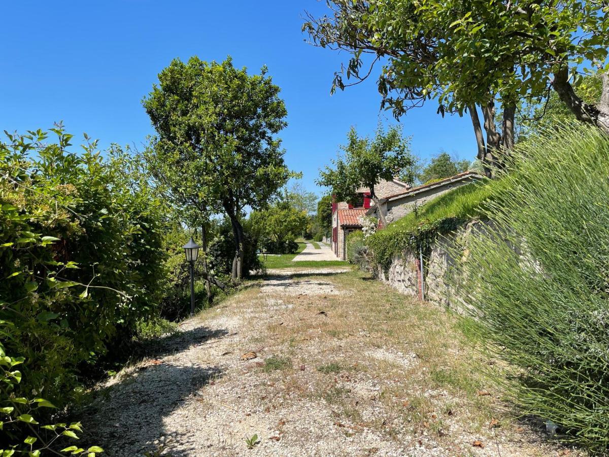 Villa Degli Ulivi By Holiday World Arquà Petrarca Exterior foto